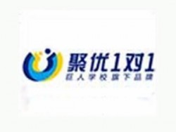 聚优1对1