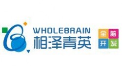 相泽青英全脑开发
