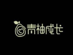 青柚成长1对1辅导
