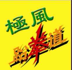 极风跆拳道