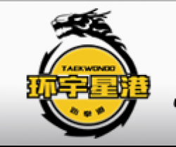 环宇星港国际跆拳道