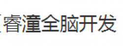 睿潼全脑开发