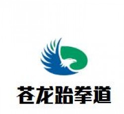 苍龙跆拳道