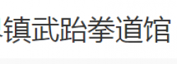 镇武跆拳道