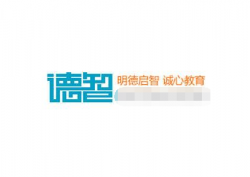 德智网
