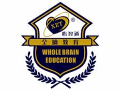 心智通全脑开发