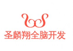 圣麟翔全脑开发