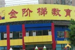 金阶梯教育