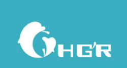 海格尔全脑开发
