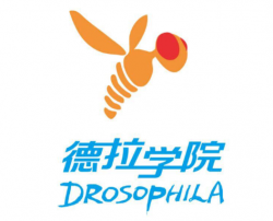 德拉学院STEAM教育