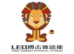 LEO搏击体适能