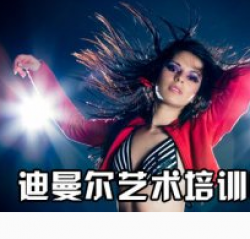 迪曼尔艺术培训