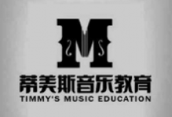 蒂美斯音乐教育