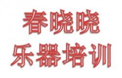 春晓晓乐器培训