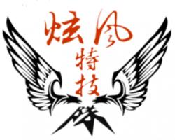 炫风跆拳道