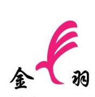 金羽艺术高考