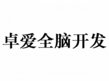 卓爱全脑开发