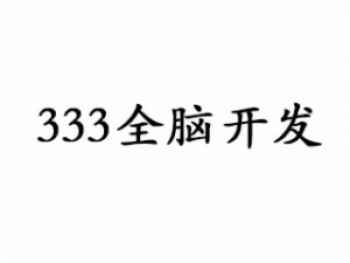 333全脑开发