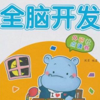 幼童全能全脑开发