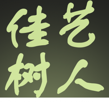 佳艺树人画室