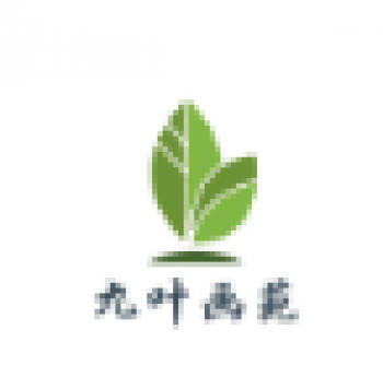 九叶画室