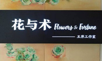 花与术美术工作室