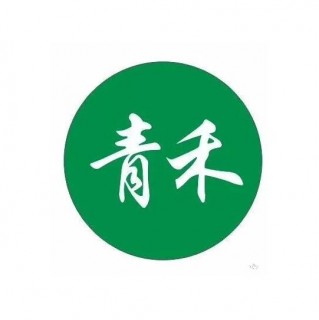 青禾英语