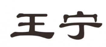 王宁围棋