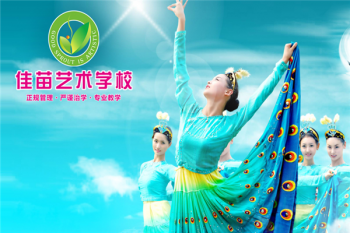 佳苗艺术学校