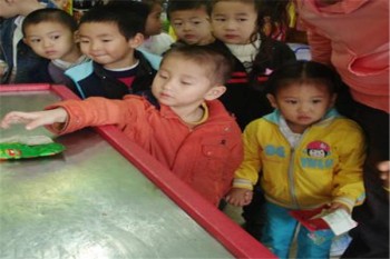 孙瑞雪幼儿园