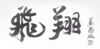 飞翔跆拳道教育