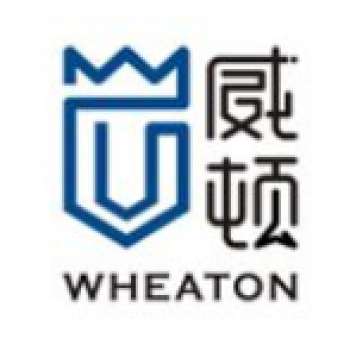 威顿教育