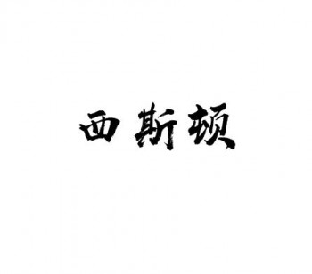 西斯顿美语文理补习班