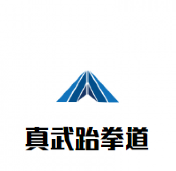 真武跆拳道