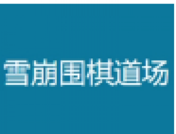 雪崩围棋道场