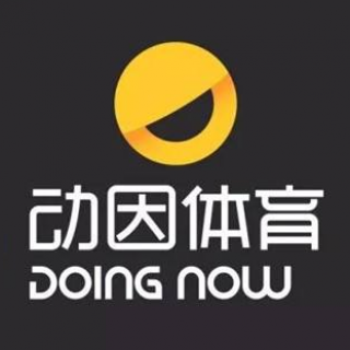 动因体育