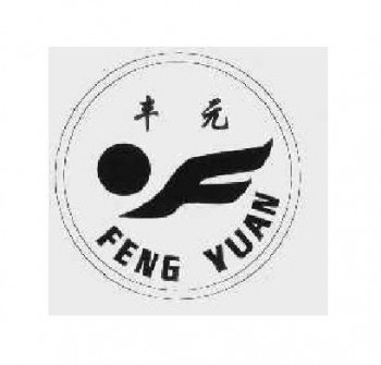 丰元教育