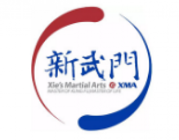 新武门国际双语少儿武术