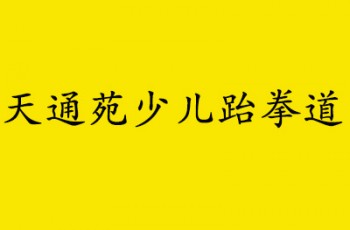天通苑少儿跆拳道