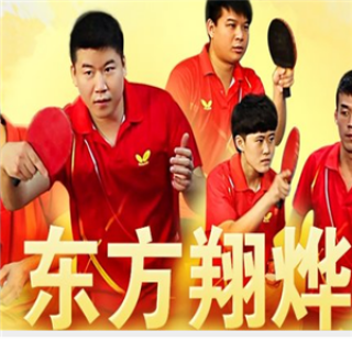 东方翔烨乒乓球教育