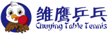 雏鹰乒乓球培训