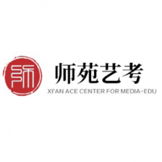 师苑艺考