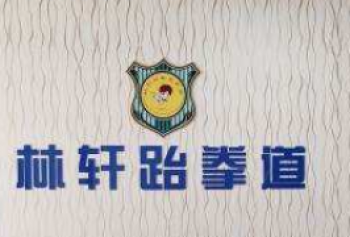 林轩跆拳道培训中心