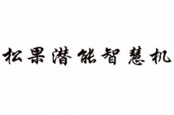 松果潜能智慧机