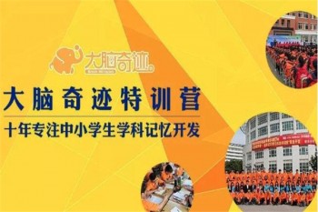 大脑奇迹教育