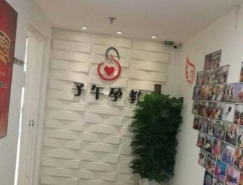 子午孕教加盟费多少？