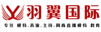 羽翼国际艺术学校
