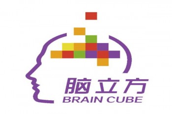 脑立方全脑教育