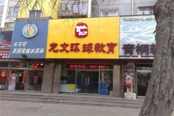 龙文环球教育