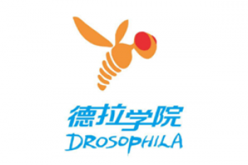 德拉学院